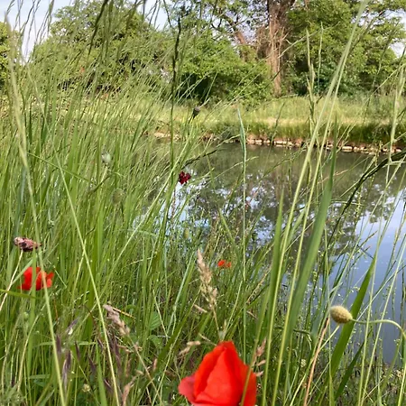 Gite Au Gre Du Canal Selles-sur-Cher Exterior foto